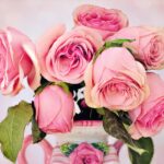 パートナーエージェントは婚活の強い味方！